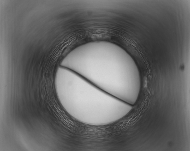 X0000116270915200911301013