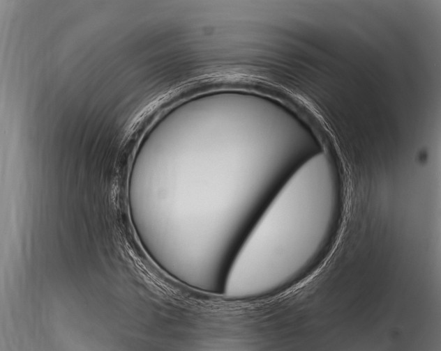 X0000116270922200911301013