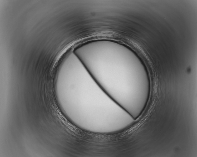 X0000116270923200911301013