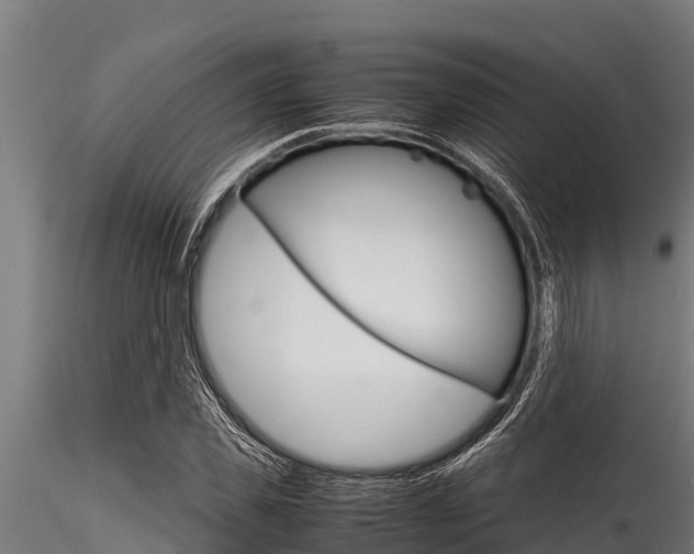 X0000116270925200911301013