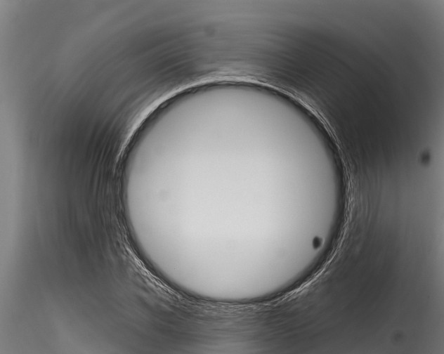 X0000116270926200911301013