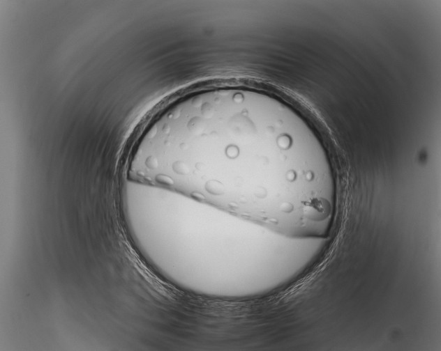 X0000116270927200911301013