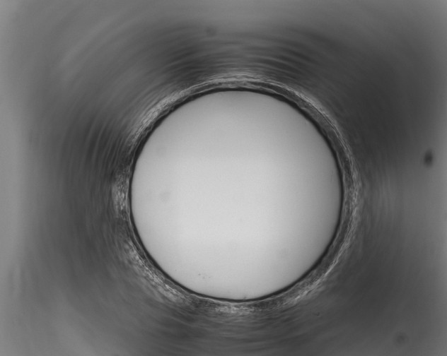 X0000116270929200911301013