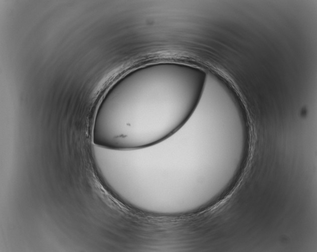 X0000116270930200911301013