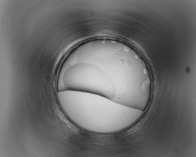 X0000116270931200911301013