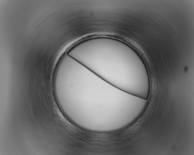 X0000116270935200911301013