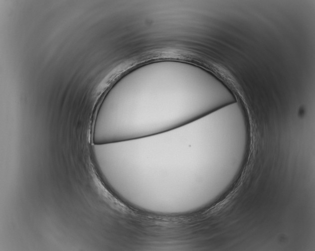 X0000116270938200911301013