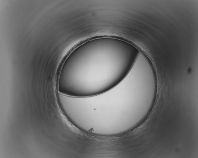 X0000116270942200911301013