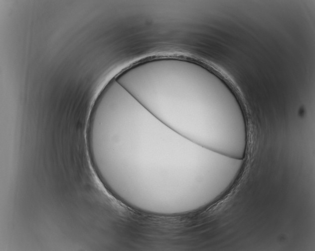 X0000116270943200911301013