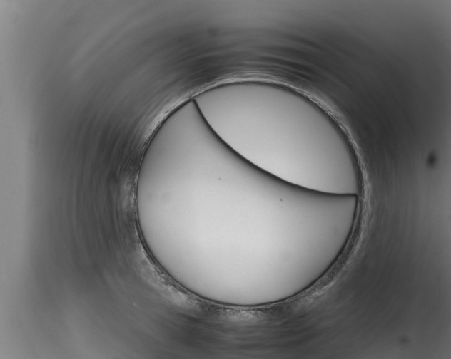 X0000116270945200911301013