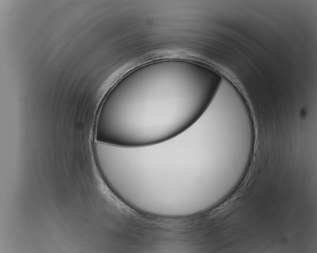 X0000116270946200911301013