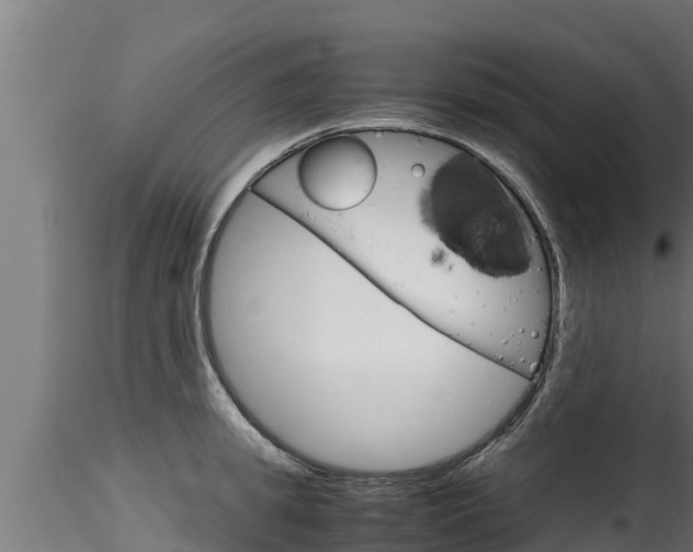 X0000116270949200911301013