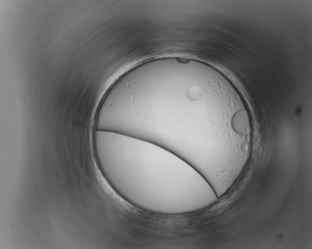 X0000116270957200911301013