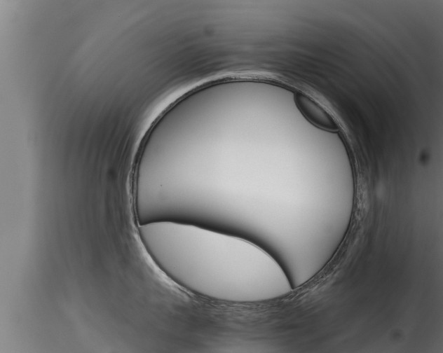 X0000116270959200911301014