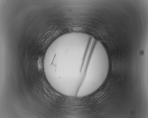 X0000116270962200911301013