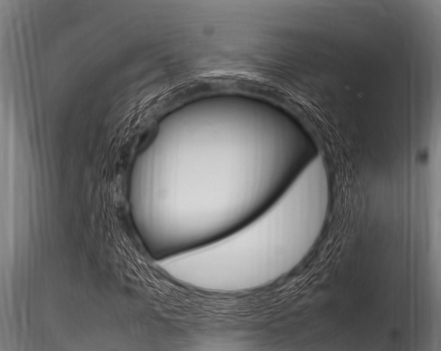 X0000116270965200911301013
