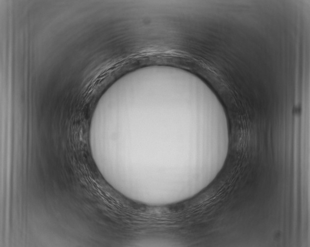 X0000116270966200911301013