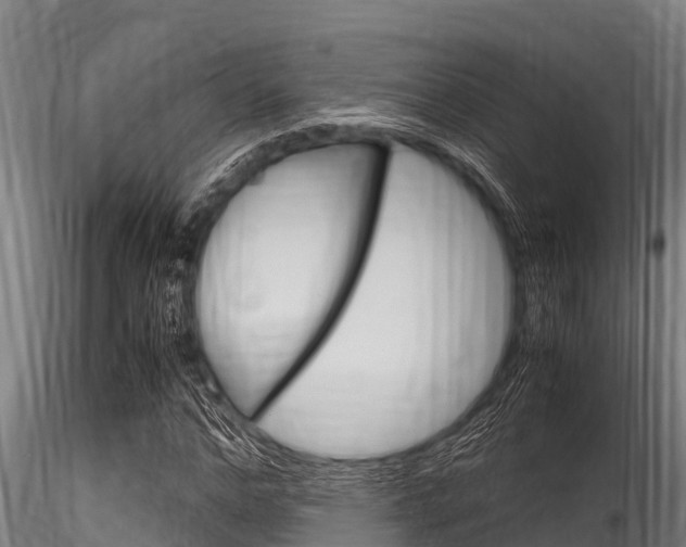 X0000116270968200911301013
