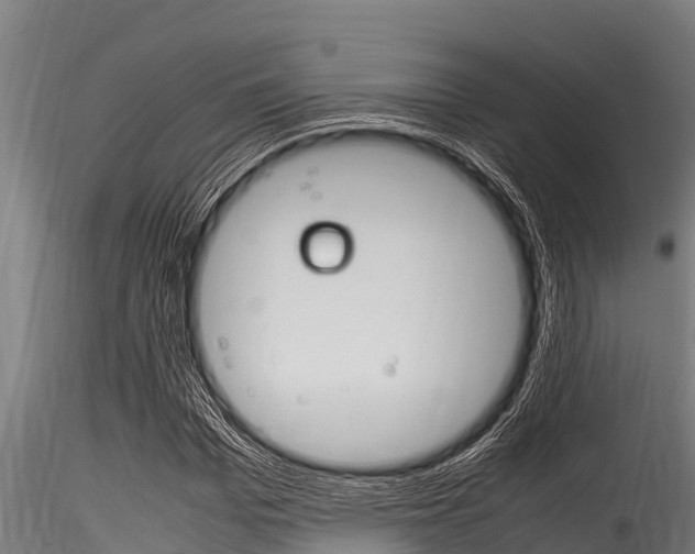X0000116270969200911301013