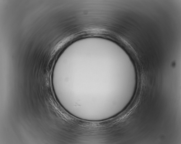 X0000116270970200911301013