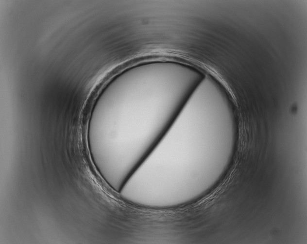 X0000116270972200911301012