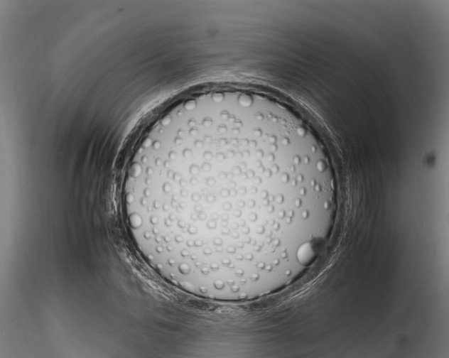 X0000116270974200911301012