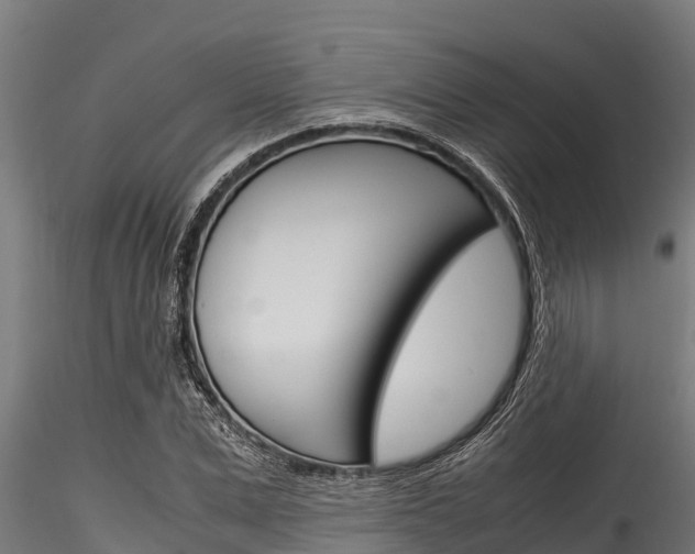 X0000116270975200911301012