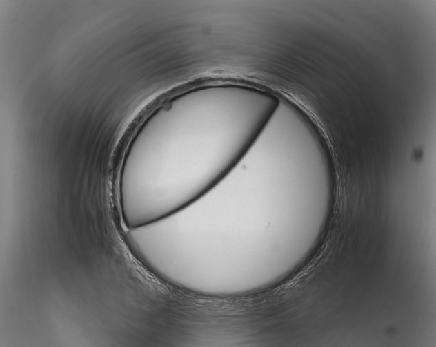 X0000116270976200911301012
