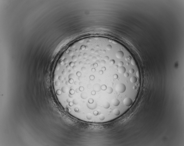 X0000116270978200911301012
