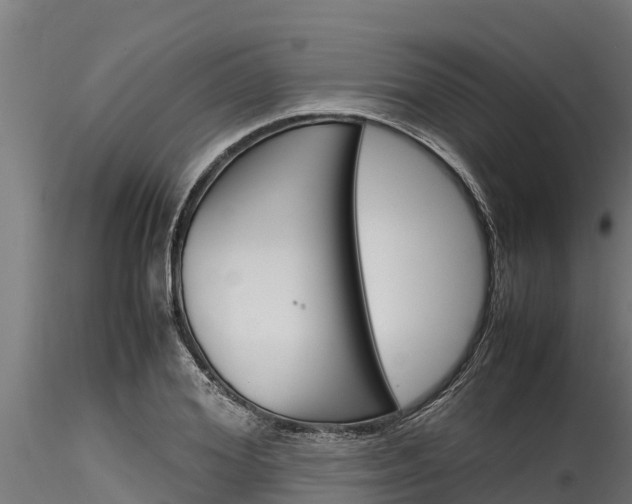 X0000116270980200911301012