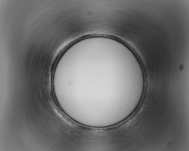 X0000116270982200911301012