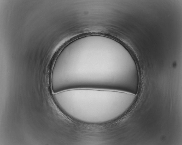 X0000116270983200911301012