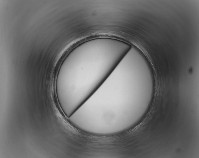 X0000116270984200911301012