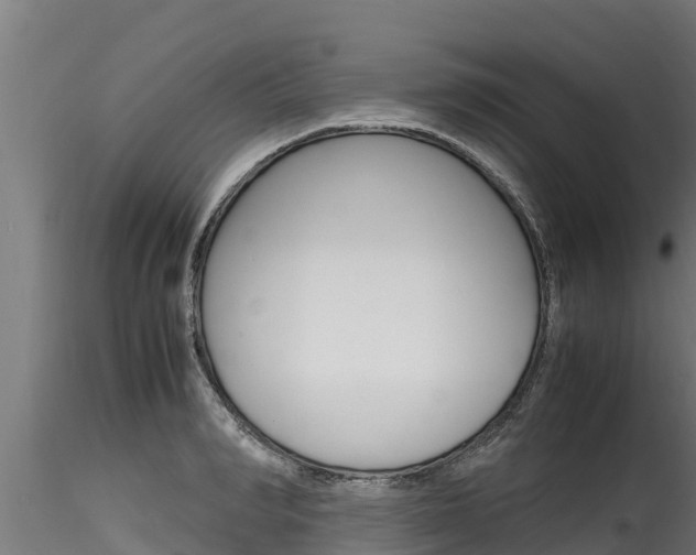 X0000116270990200911301012