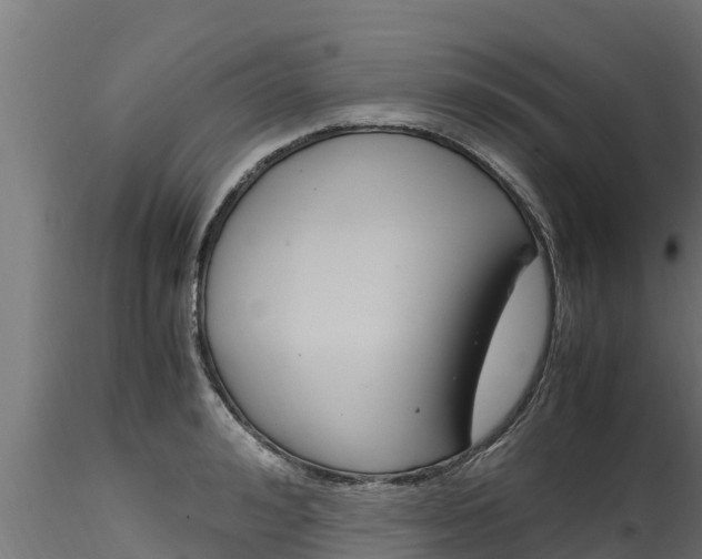 X0000116270992200911301012