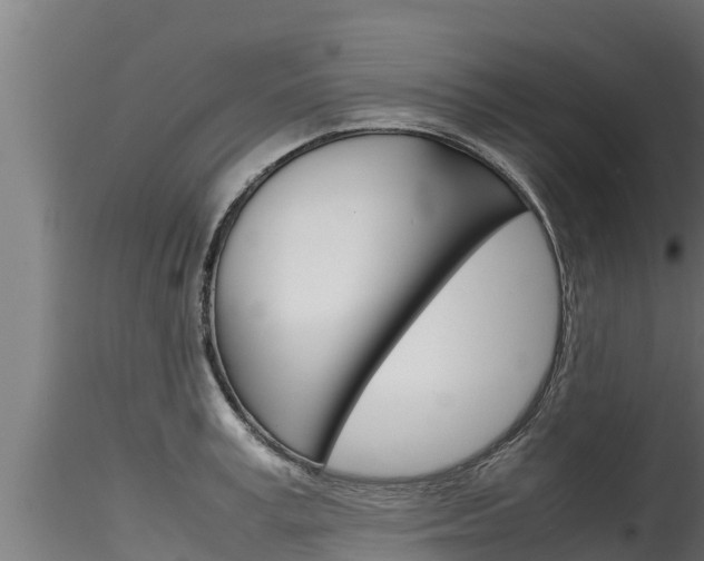 X0000116270995200911301012