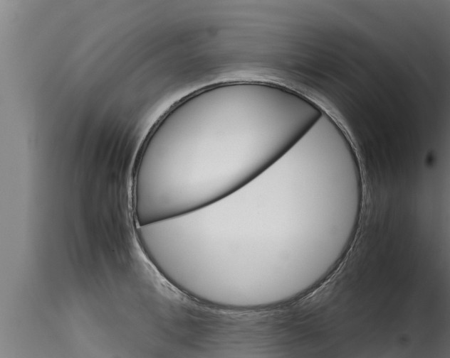 X0000116270996200911301012