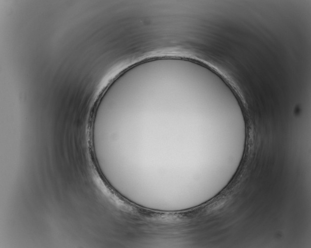 X0000116270998200911301012