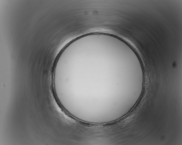 X0000116270999200911301012