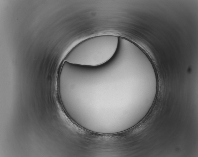 X0000116271000200911301012