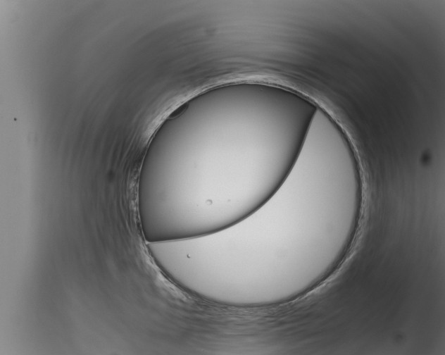 X0000116271001200911301012