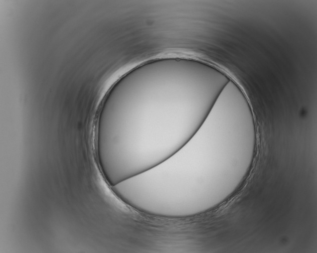 X0000116271003200911301012