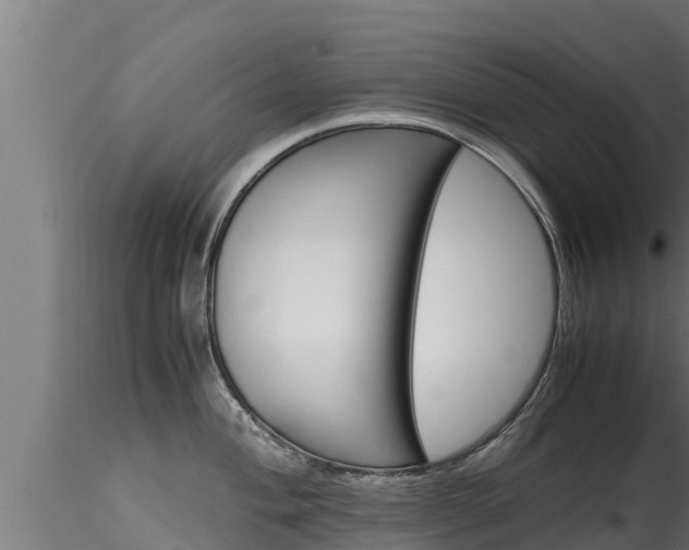 X0000116271004200911301012