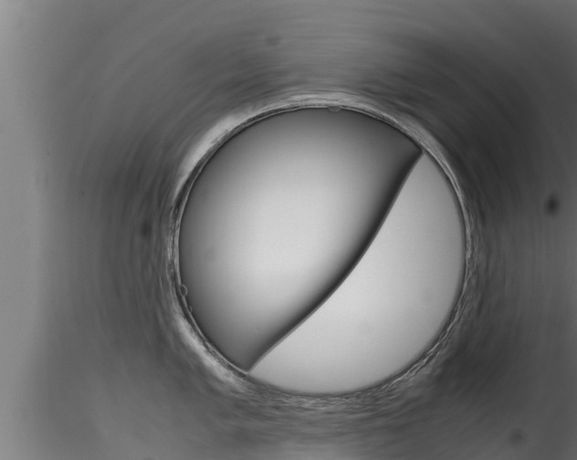 X0000116271005200911301012