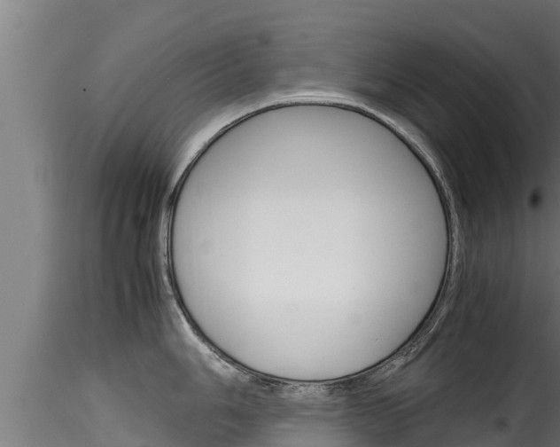 X0000116271006200911301012
