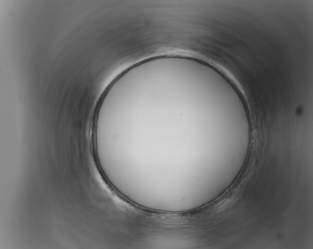 X0000116271007200911301012
