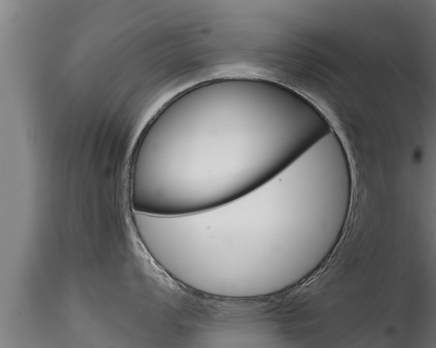 X0000116271008200911301012