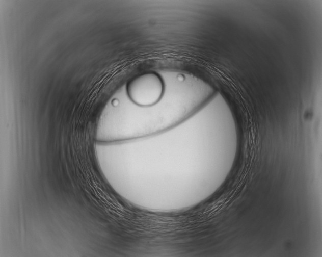 X0000116271010200911301011