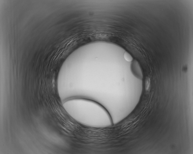 X0000116271011200911301011
