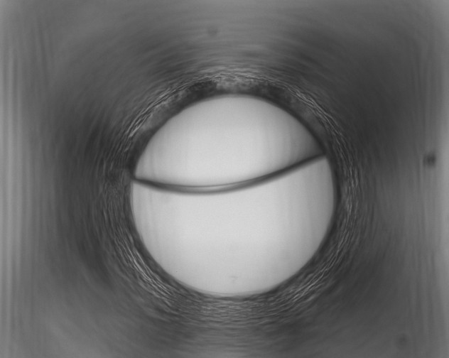 X0000116271012200911301011